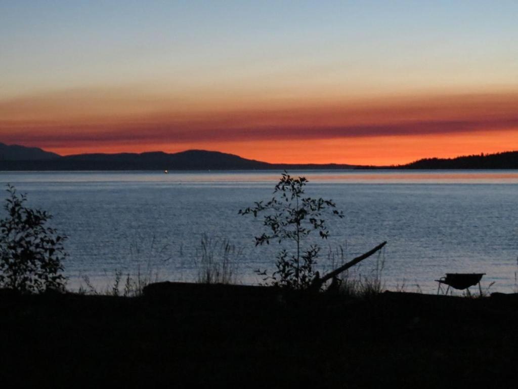 Maxwelton Beach Sunsets! Kayaks & Paddleboards! 1 Min Walk To The Water! Clinton Экстерьер фото
